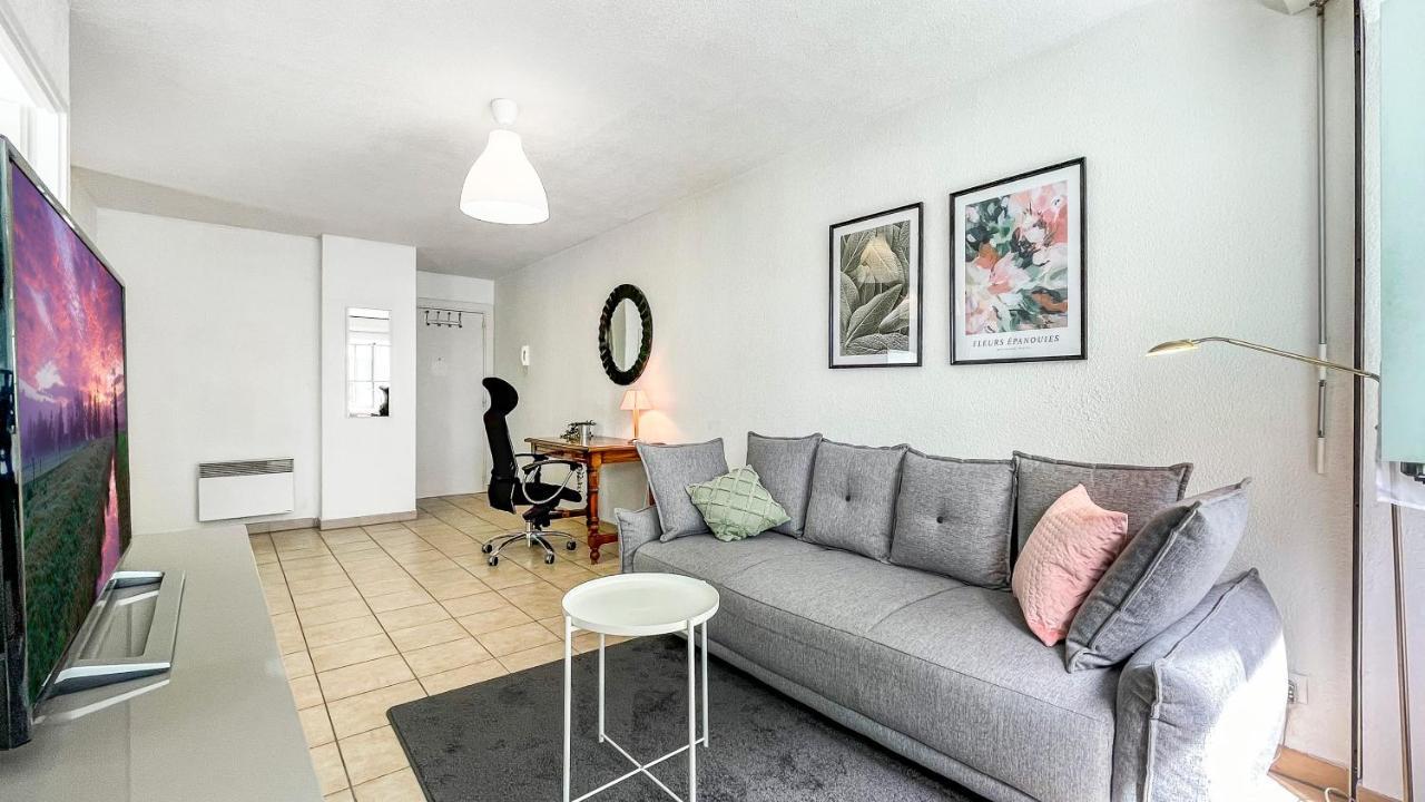 Homey Cycy - New / Free Parking / Hyper-Centre / Proche Geneve 安纳马斯 外观 照片
